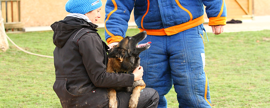 Tervueren Hündin beim Hundesport Mondioring.