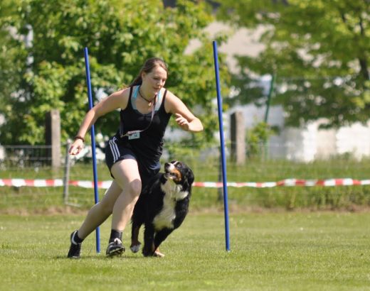 Frau rennt mit Berner Sennenhund im Turnierhundsport.