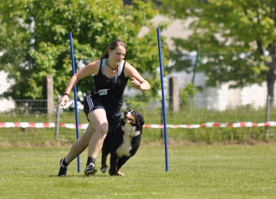 Frau rennt mit Berner Sennenhund im Turnierhundsport.