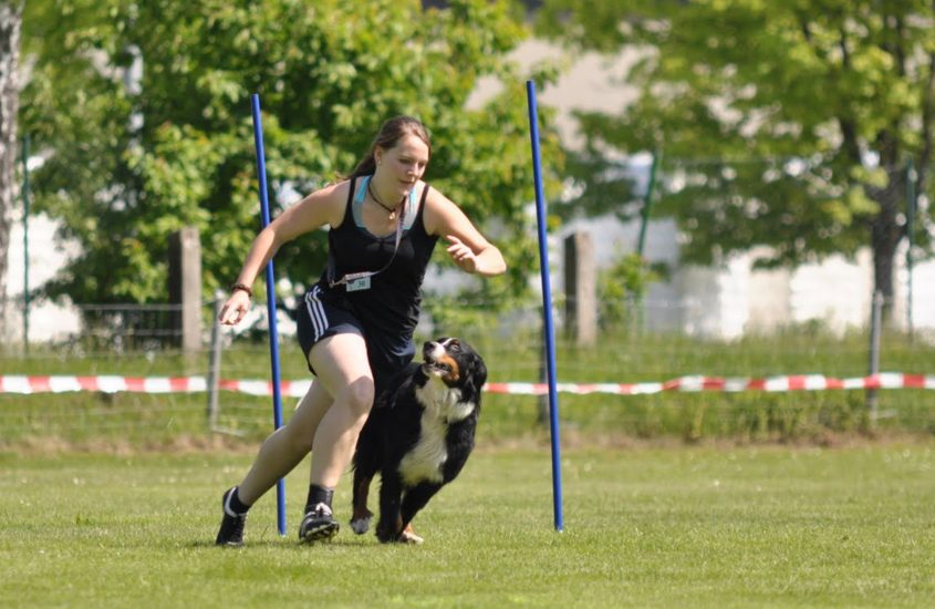 Wie aus mir eine Hundesportlerin wurde