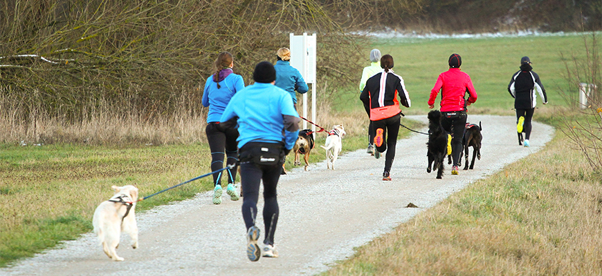 Menschengruppe macht Zughundesport.